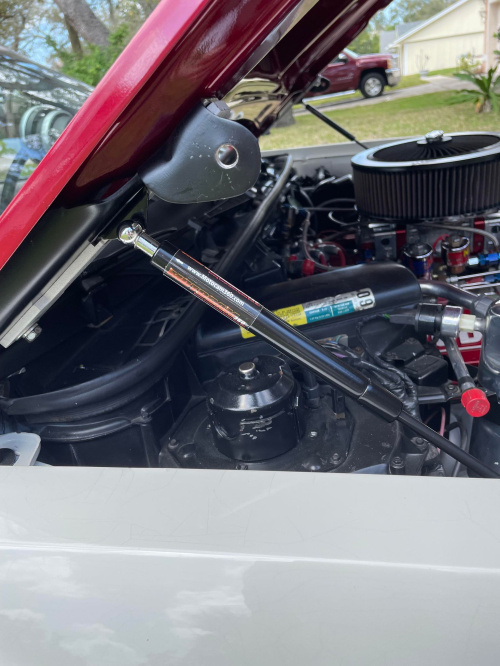 417924419_1452619418945856_5699634008801856521_n