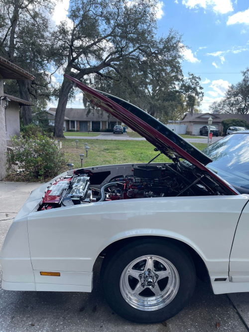 418635168_1140658013508153_4812072877528309373_n