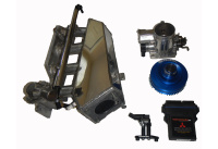 pdavison_gato_intake