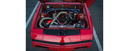 500535825_24108490178735573_8117942730901575904_n