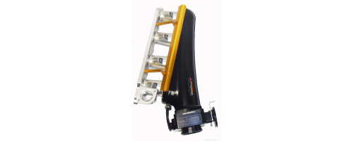 billet_mpi_gold_ross_tb_1763653158